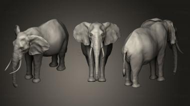 3D model African elephant 2 (STL)